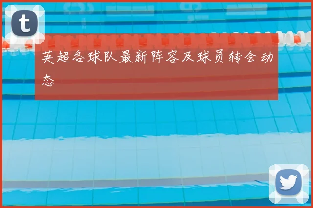 英超各球队最新阵容及球员转会动态