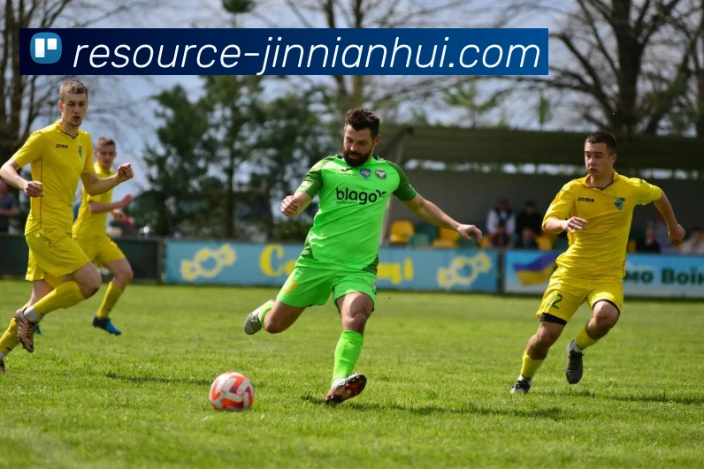 金年会APP 封面图